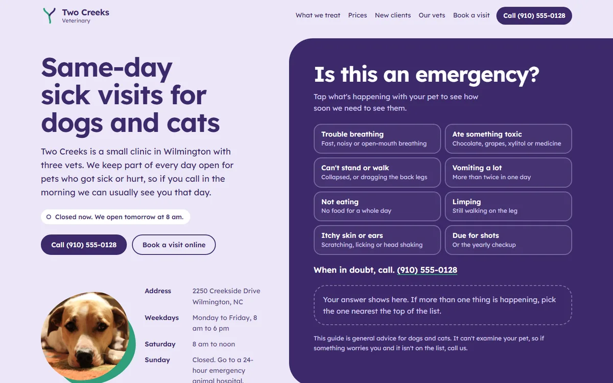 Two Creeks Veterinary website homepage view